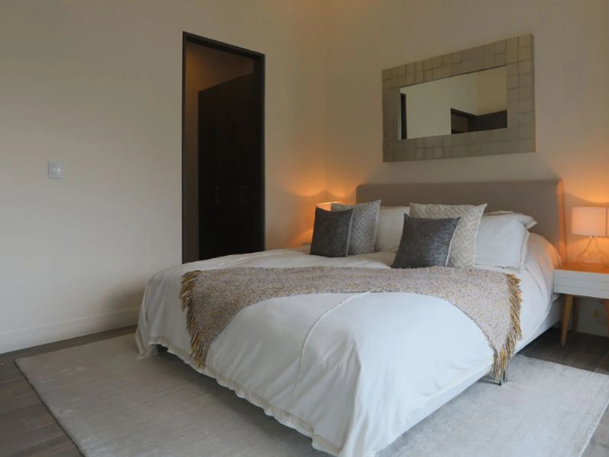 Imagen del modelo