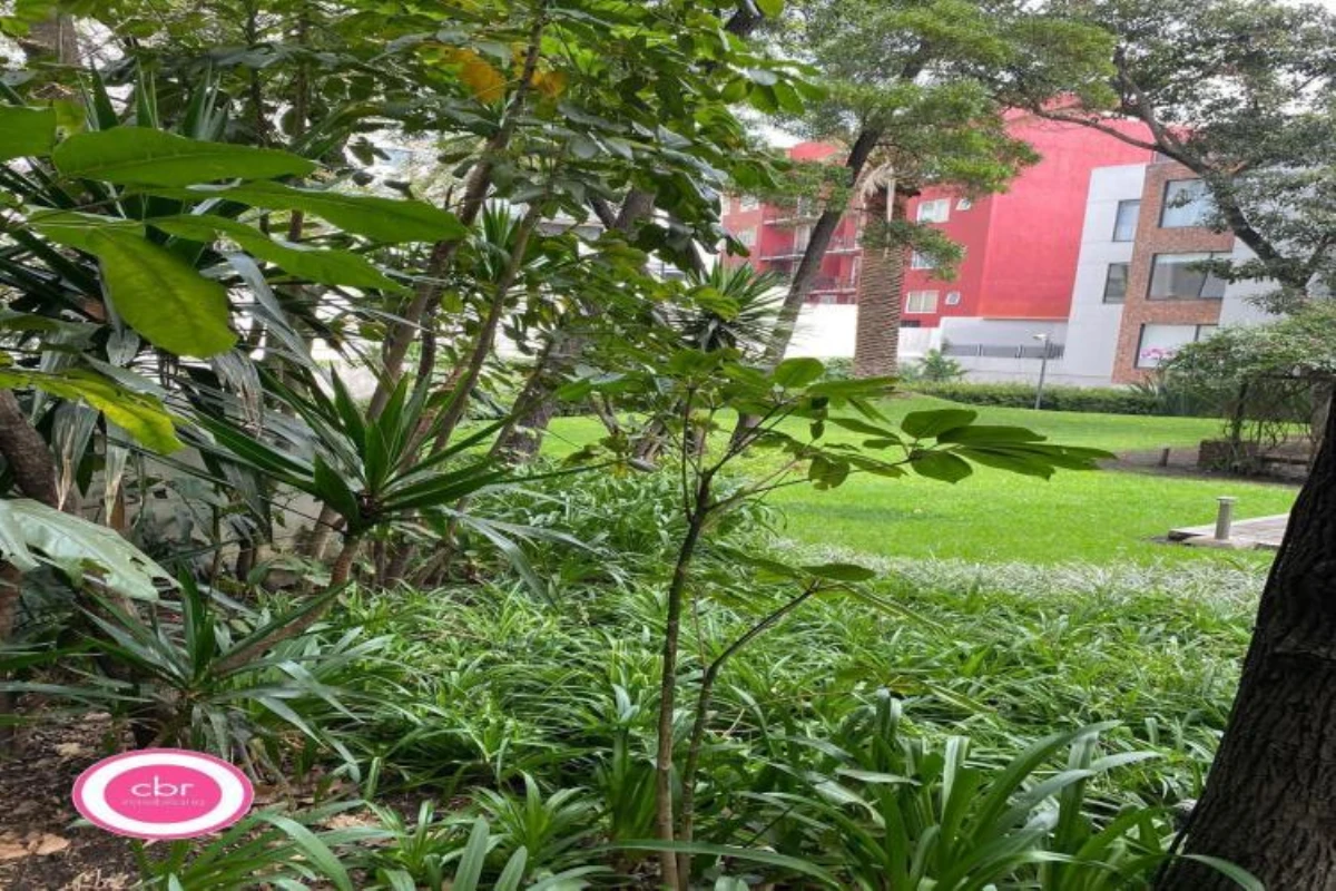 Imágen del proyecto Insurgentes Mixcoac