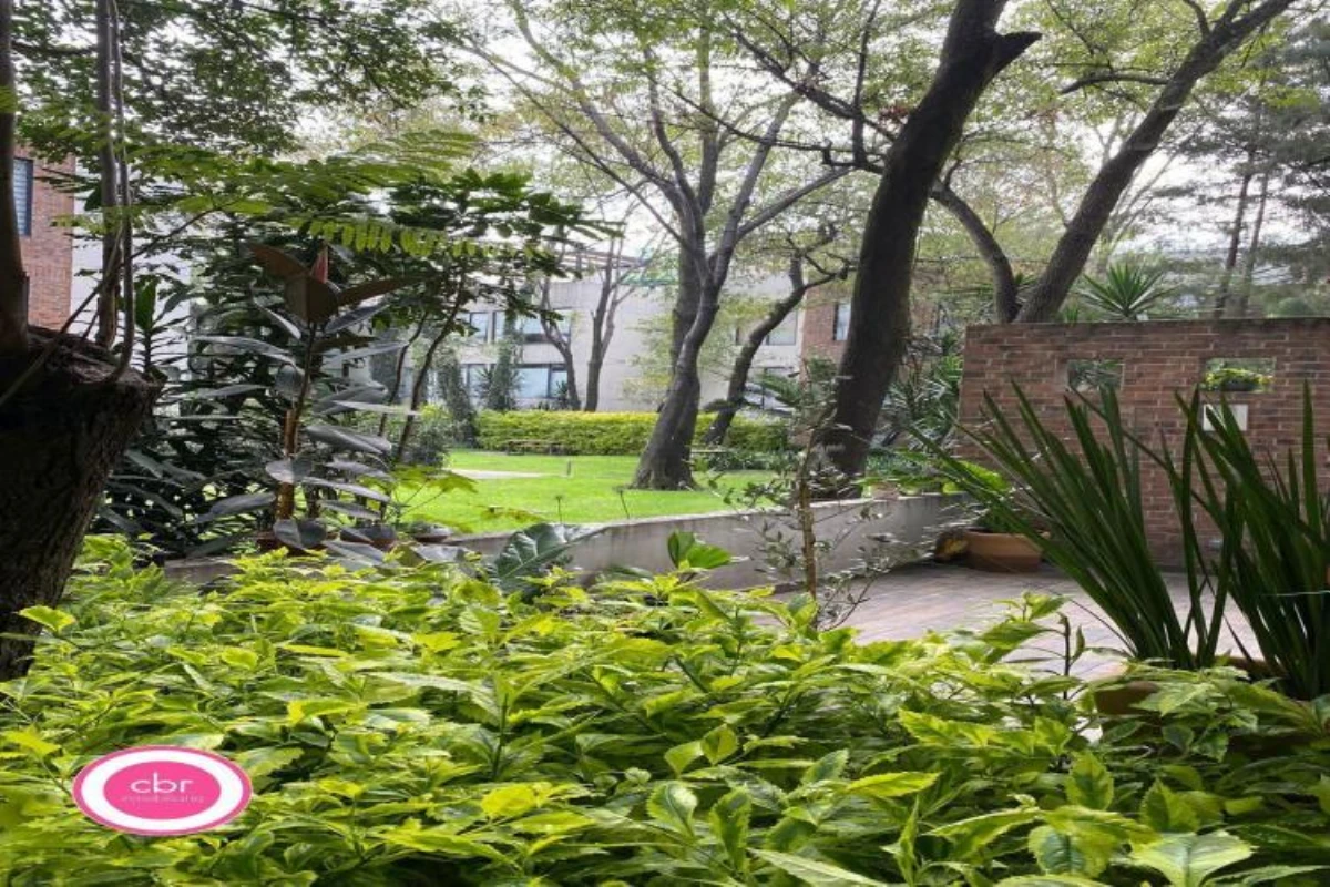 Imágen del proyecto Insurgentes Mixcoac